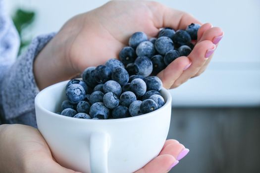 Woman holding bowl with Frozen blueberry fruits. Harvesting concept. Female hands collecting berries. Healthy eating concept. Stocking up berries for winter Vegetarian vegan food. Dieting nutrition