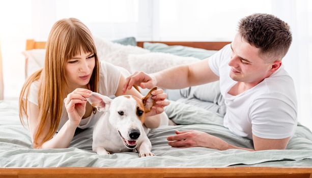 Lovely portrait of young couple in the bed with cute dog. Attractive girl and guy in the bedroom petting their doggy and playing with him. Young wife and husband with pet in the morning