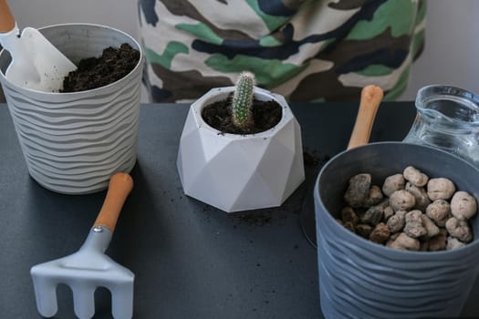 Close-up shot of female hands holding cactus. Home garden concept. Gardening tools. Gardener's workplace. Earth in a bucket. Taking care of plants. Home spring planting