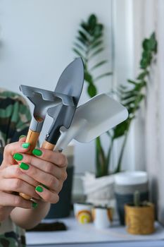 Woman holding gardening tools. Female gardener doing spring planting at home. Home plants. Indoor gardening. DIY