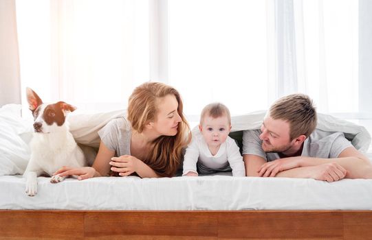 Mother and father lying in the bed under blanket with their son and cute dog. Beautiful family morning together with pet. Happy parenthood moments