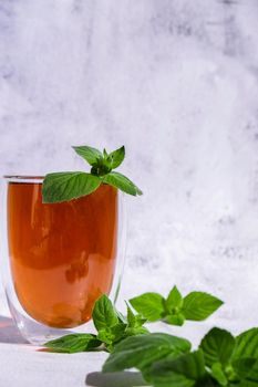 Tea with mint. Transparent cup of herbal tea with fresh mint. Healthy melissa tea natural organic aromatic drink in glass cup. Copy space