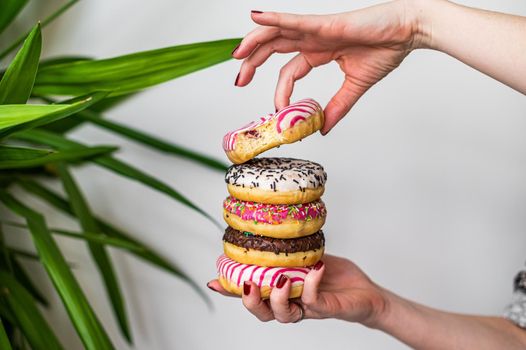 Female holds in hand colorful stack of glazed donuts. White background. Top view. Copy space.