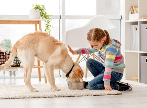 Beautiful little girl feeding cute dog indoors