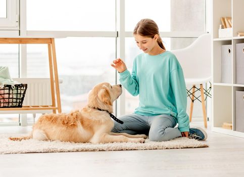 Beautiful teenage girl training lovely dog in light room