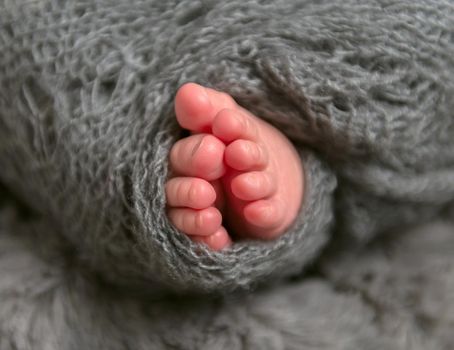 Small toes of an infant, wrapped up in a soft warm gray blanket, closeup