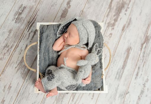 sweet sleeping baby in gray panties and hat with hare ears with toy on basket, top view