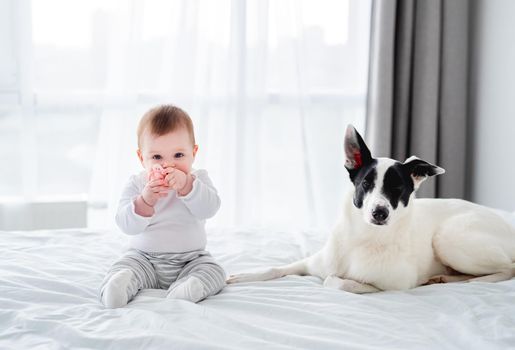 Cute little child sitting in the bed with funny dog and looking at the camera. Toddler baby boy with pet in the bedroom in the morning time. Portrait of kid with doggy