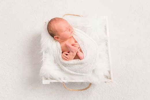 Tiny newborn enveloped with a white fluffy blanket, resting in a basket, topview