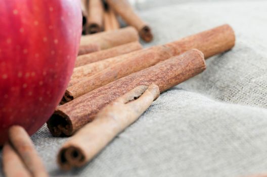 lying on the tablecloth of linen whole sticks of fragrant cinnamon, on one side is a ripe red apple, cinnamon is used with an apple to make a pie