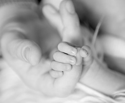 Black and white photo of newborn baby holding parent's finger. Little baby gently holding father's finger