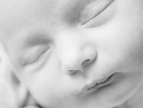 Close-up portrait of newborn baby sleeping. Black and white image of sleeping little child