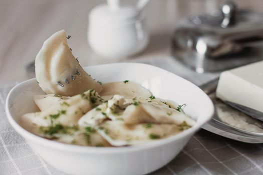 Dumplings, filled with potatoes and served with butter and fennel. Varenyky, vareniki, pierogi, pyrohy. Dumplings with filling