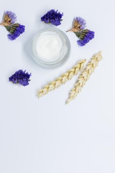 Open cream jar with wheat spikelets top view. Nourishing face mask with natural oat extract components.