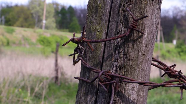 Old wooden fence with rusty barbed wire. A fence next to a rural road. Vintage look. A wooden post around the perimeter of the pasture fence
