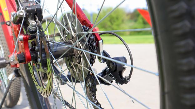Close-up of a rear set of gear shifting sprockets on the rear wheel of a modern mountain bike with chain. Bicycle repair