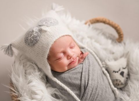 Little cute baby in white knitted beanie covered with gray coverlet sweetly sleeping on white soft blanket with toy owl in the basket