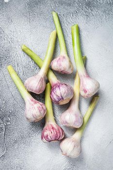 Fresh Spring young garlic bulbs on kitchen table. White background. Top view.