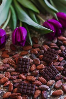 Assortment of different chocolate types in cocoa beans, with violet spring tulips on the background.