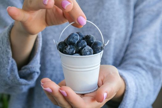 Woman holding metal bucket with Frozen blueberry fruits. Harvesting concept. Female hands collecting berries. Healthy eating concept. Stocking up berries for winter Vegetarian vegan food. Dieting nutrition