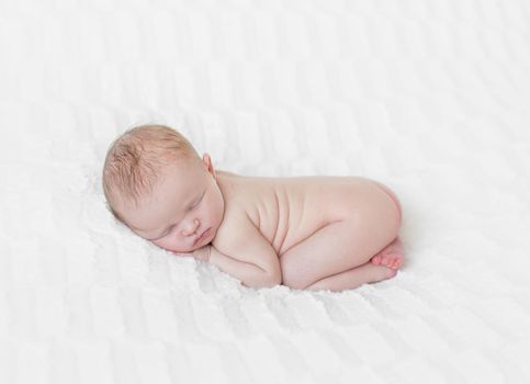 Adorable hairy naked infant sleeping on his belly tighly, light skin and cute position