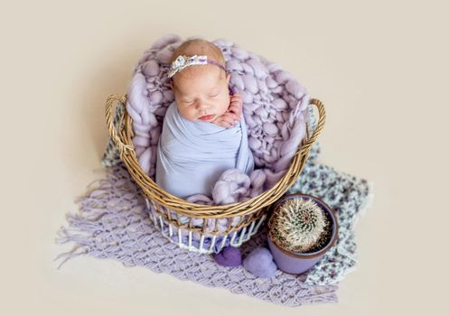 Sleeping infant in kids bed sleeping basket, isolated on pink background