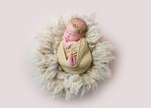 Adorable infant girl sleeping swaddled with her tiny brown toy of a rabbit, topview