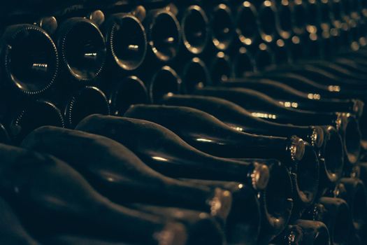 Bottles of wine or champagne. Production of sparkling wine. Dust bottles in the wine cellar.