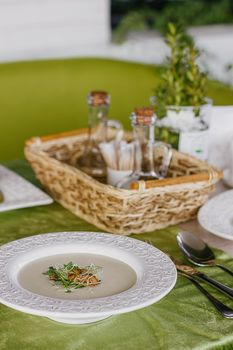 Cheese soup with salmon in green interior background.