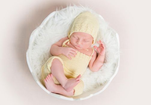 sweet newborn baby in hat and panties sleeping on the shell, top view