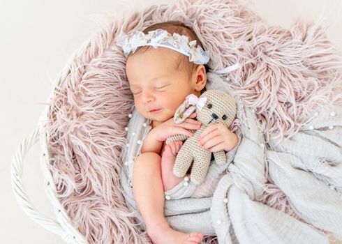 smiling newborn baby girl sleeping sweetly in the basket with a small toy