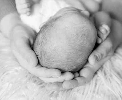 Parent's hands tenderly holding baby's head. Close-up of father holding his newborn child on arms. Maternity and newborn concept