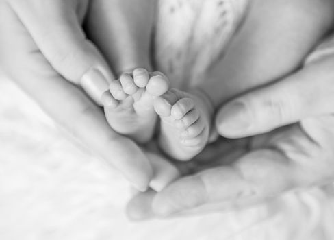 Small baby feet among furry blanket. Black and white image of newborn child's feet covered with fluffy rug