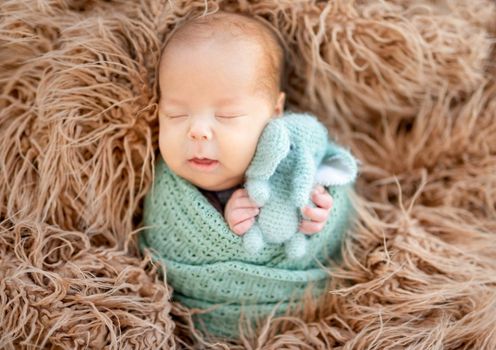 Calm newborn sleeping with toy in hands