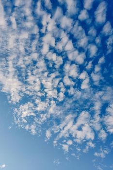 White fluffy clouds in the blue sky background.