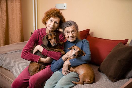 The theme is animal therapy, caring for elderly with dementia and Alzheimer's disease. Adult women spend time with elderly mother and pets dogs to bring joy and pleasure, affection for loved ones.