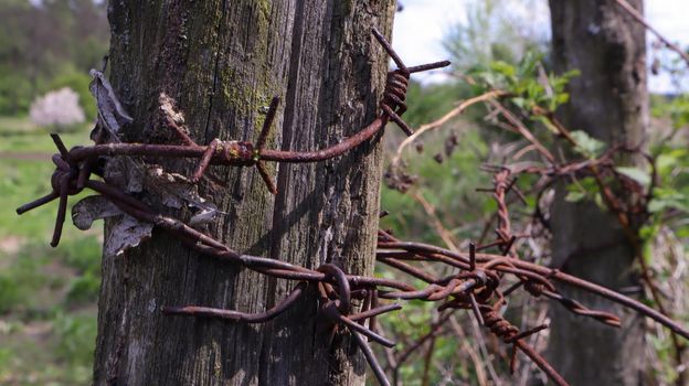 Old wooden fence with rusty barbed wire. A fence next to a rural road. Vintage look. A wooden post around the perimeter of the pasture fence