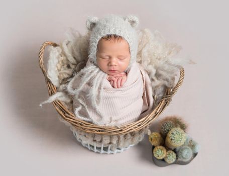 Little baby in cute white knitted beanie with ears and covered in light pink coverlet sweetly sleeping in the basket with cactus nearby