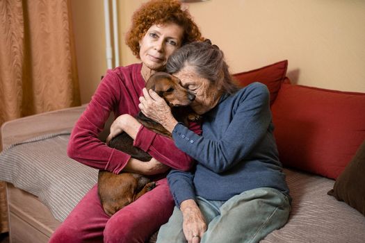 The theme is animal therapy, caring for elderly with dementia and Alzheimer's disease. Adult women spend time with elderly mother and pets dogs to bring joy and pleasure, affection for loved ones.