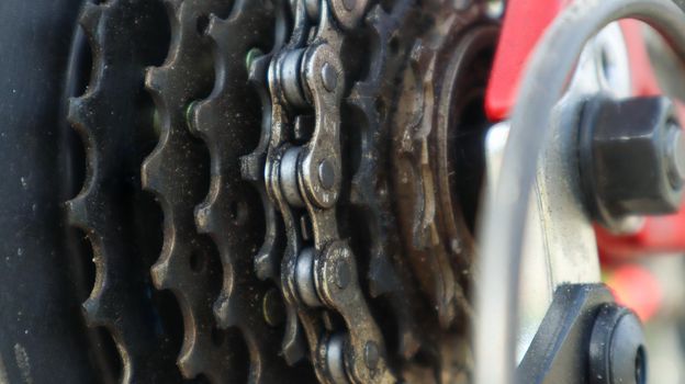 Close-up of a rear set of gear shifting sprockets on the rear wheel of a modern mountain bike with chain. Bicycle repair