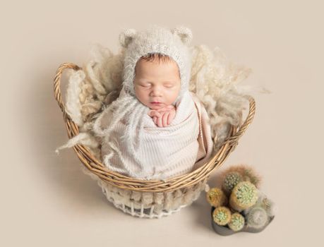 Little baby in cute white knitted beanie with ears and covered in light pink coverlet sweetly sleeping in the basket with cactus nearby