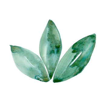 Watercolor green leaf natural ecology symbol isolated on white background. Hand painting Illustration with leaves for print, texture, wallpaper or eco element. Beautiful watercolour floral art.