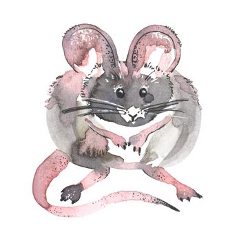 Mouse watercolour illustration. Funny icon of animal. Grey rat with pink ears isolated on white background. 2020 new year painting symbol. Drawing art object for design.