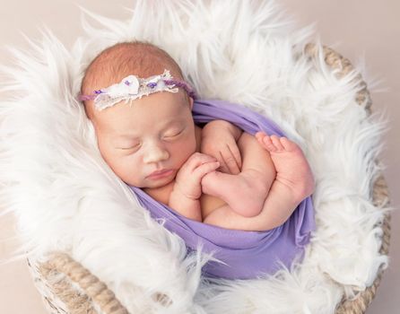 Sleepy newborn child in shaggy wool-covered basket with purple knitted toy, isolated