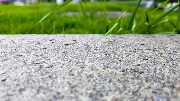 green grass on a gray concrete wall background, uneven wall surface and grass, background image. Gray concrete wall with grass floor texture for background design