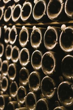 Bottles of wine or champagne. Production of sparkling wine.
