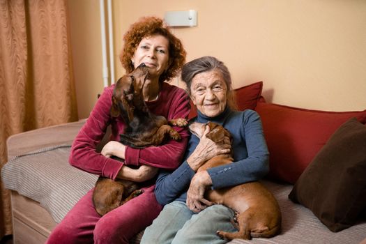 Elder woman and her adult daughter together with two dachshund dogs on sofa indoors spend time happily, portrait. Theme of mother and daughter relationship, taking care of parents, family care.