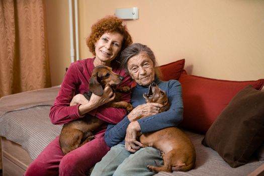 Elder woman and her adult daughter together with two dachshund dogs on sofa indoors spend time happily, portrait. Theme of mother and daughter relationship, taking care of parents, family care.