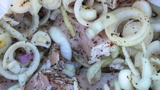 Raw pork for barbecue with spices and onions are ready to cook. Fresh raw marinated kebab. BBQ, picnic, summer day in the park with family and friends