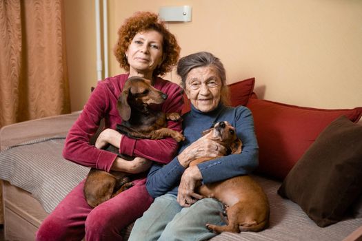 The theme is animal therapy, caring for elderly with dementia and Alzheimer's disease. Adult women spend time with elderly mother and pets dogs to bring joy and pleasure, affection for loved ones.